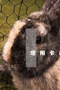 信用卡逾期后打官司 信用卡逾期后打官司