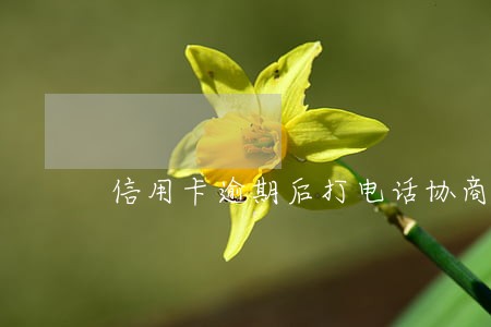 信用卡逾期后打电话协商怎么办 信用卡逾期后打电话协商怎么办