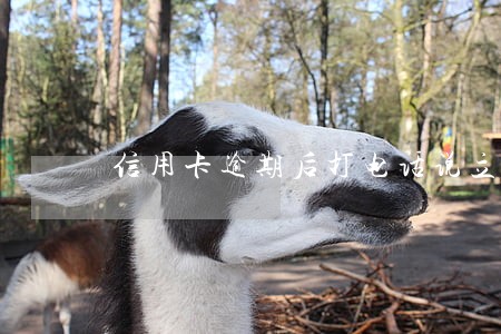 信用卡逾期后打电话说立案了 信用卡逾期后打电话说立案了