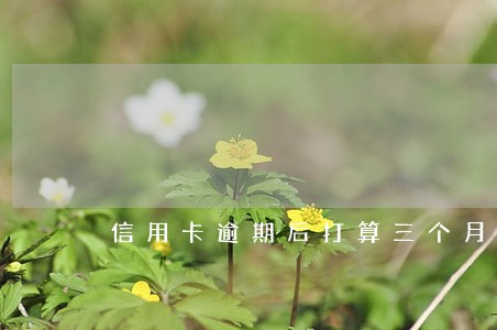 信用卡逾期后打算三个月还清