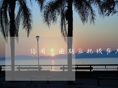 信用卡逾期后把钱存入就可以