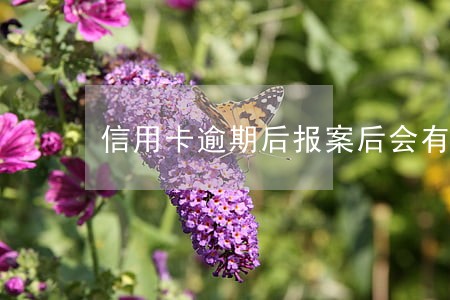 信用卡逾期后报案后会有什么 信用卡逾期后报案后会有什么