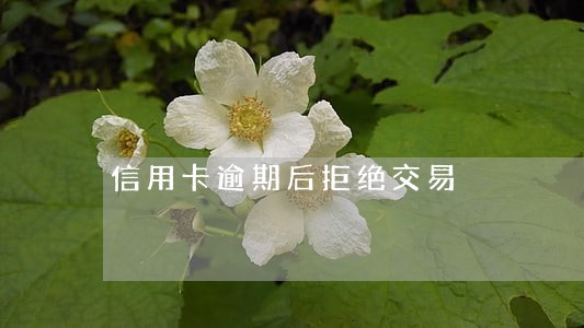 信用卡逾期后拒绝交易 信用卡逾期后拒绝交易