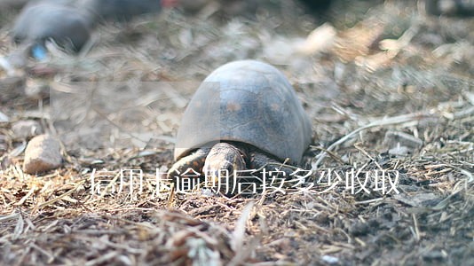 信用卡逾期后按多少收取 信用卡逾期后按多少收取