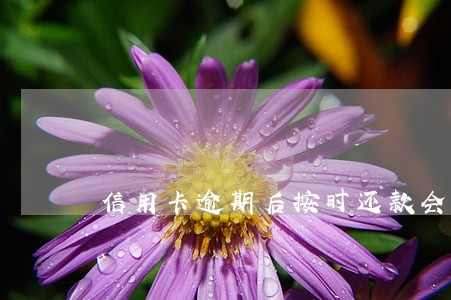 信用卡逾期后按时还款会怎么样