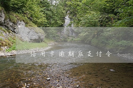 信用卡逾期后支付令 信用卡逾期后支付令