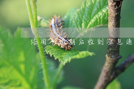 信用卡逾期后收到涨息通知 信用卡逾期后收到涨息通知