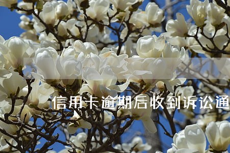 信用卡逾期后收到诉讼通知 信用卡逾期后收到诉讼通知