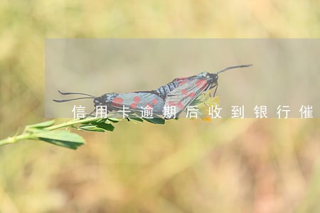 信用卡逾期后收到银行催告函