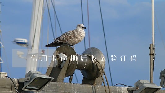 信用卡逾期后收到验证码