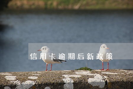 信用卡逾期后新政策 信用卡逾期后新政策