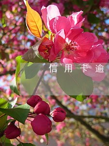信用卡逾期后施压点