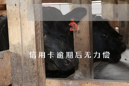 信用卡逾期后无力偿 信用卡逾期后无力偿