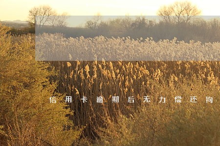 信用卡逾期后无力偿还拘留多久 信用卡逾期后无力偿还拘留多久