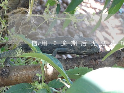 信用卡逾期后无法办理分期 信用卡逾期后无法办理分期