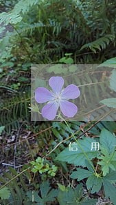 信用卡逾期后无法还款怎么办 信用卡逾期后无法还款怎么办