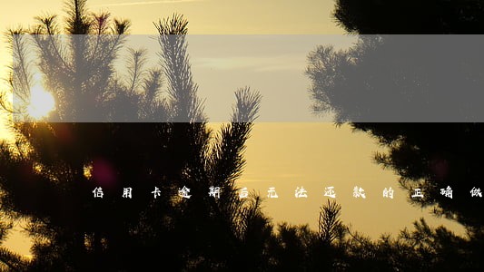 信用卡逾期后无法还款的正确做法