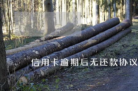信用卡逾期后无还款协议表