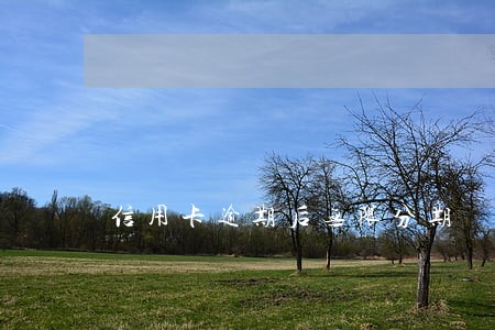 信用卡逾期后无限分期