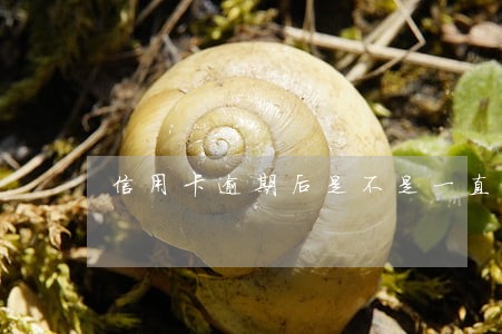 信用卡逾期后是不是一直复利 信用卡逾期后是不是一直复利