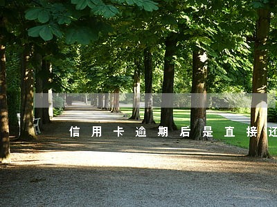 信用卡逾期后是直接还信用卡吗 信用卡逾期后是直接还信用卡吗