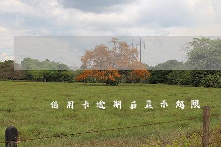 信用卡逾期后显示超限