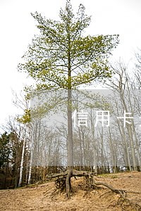 信用卡逾期后暂时无能力偿还