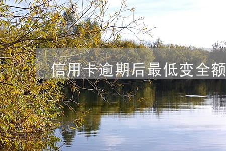 信用卡逾期后最低变全额了