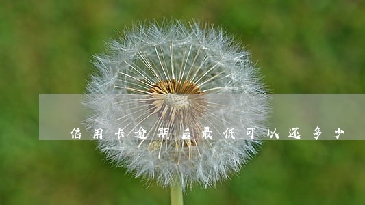 信用卡逾期后最低可以还多少