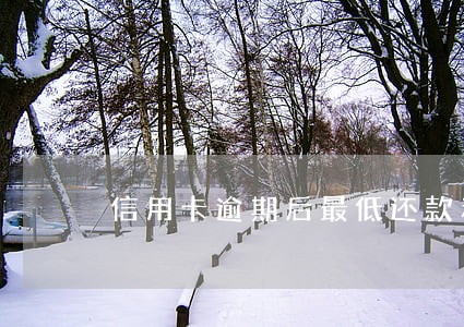 信用卡逾期后最低还款利息 信用卡逾期后最低还款利息
