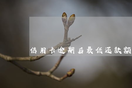 信用卡逾期后最低还款额怎么算的