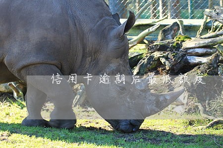 信用卡逾期后最低额度