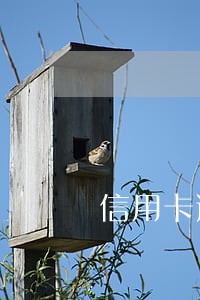 信用卡逾期后最多能呆多久