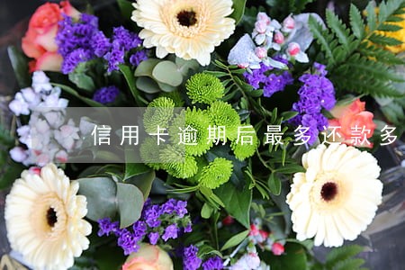 信用卡逾期后最多还款多少