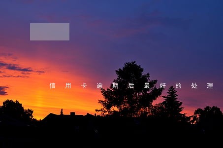 信用卡逾期后最好的处理方法 信用卡逾期后最好的处理方法