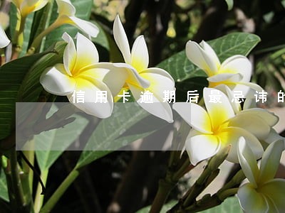 信用卡逾期后最忌讳的4点 信用卡逾期后最忌讳的4点