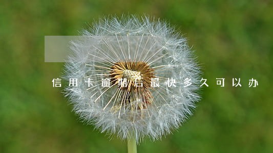 信用卡逾期后最快多久可以办
