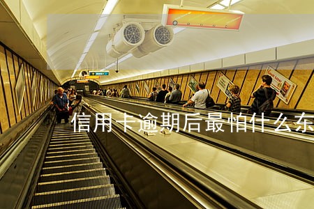 信用卡逾期后最怕什么东西