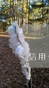 信用卡逾期后最难协商