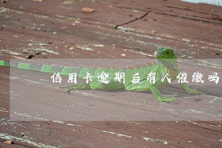 信用卡逾期后有人催缴吗 信用卡逾期后有人催缴吗