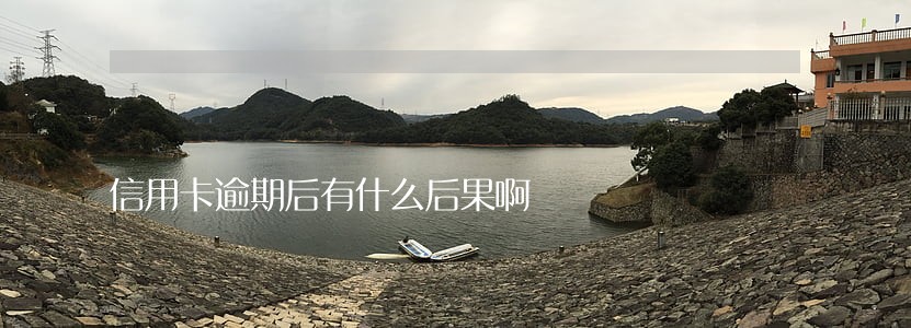 信用卡逾期后有什么后果啊 信用卡逾期后有什么后果啊