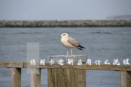 信用卡逾期后有什么流程 信用卡逾期后有什么流程