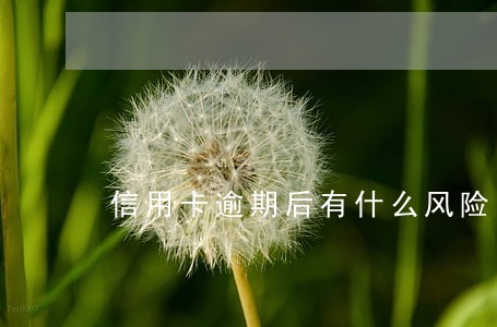 信用卡逾期后有什么风险