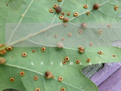 信用卡逾期后有危机吗 信用卡逾期后有危机吗