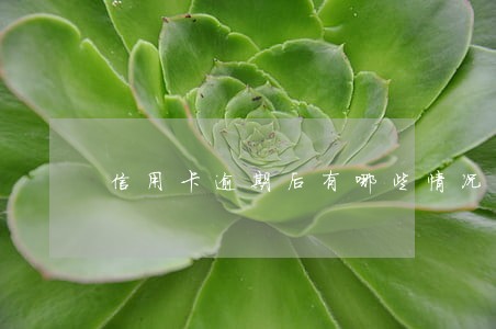 信用卡逾期后有哪些情况 信用卡逾期后有哪些情况