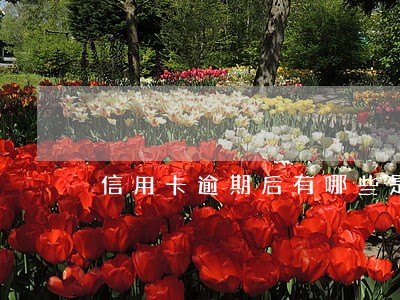 信用卡逾期后有哪些是不能做的 信用卡逾期后有哪些是不能做的