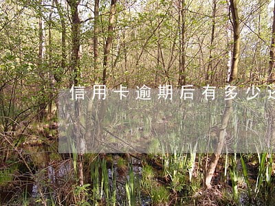 信用卡逾期后有多少还多少 信用卡逾期后有多少还多少