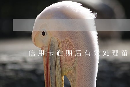 信用卡逾期后有效处理留存证据