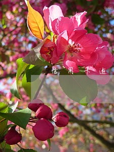 信用卡逾期后有没人只还本金的 信用卡逾期后有没人只还本金的
