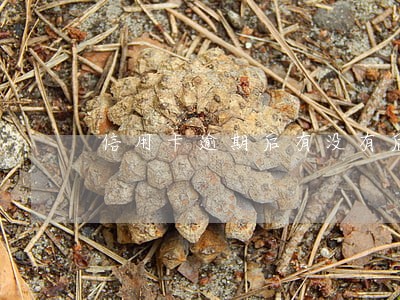 信用卡逾期后有没有后果 信用卡逾期后有没有后果